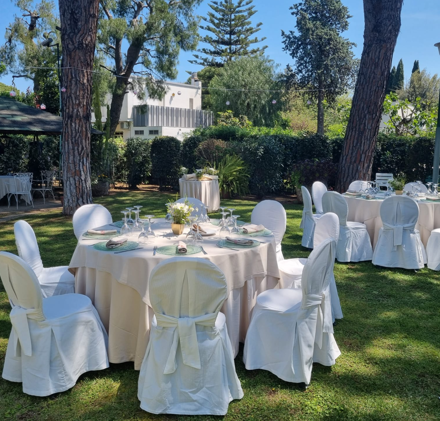 sfondo-catering-boccia